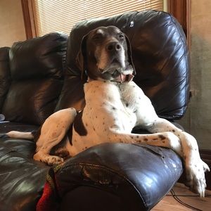 Meet your Posher, Colette